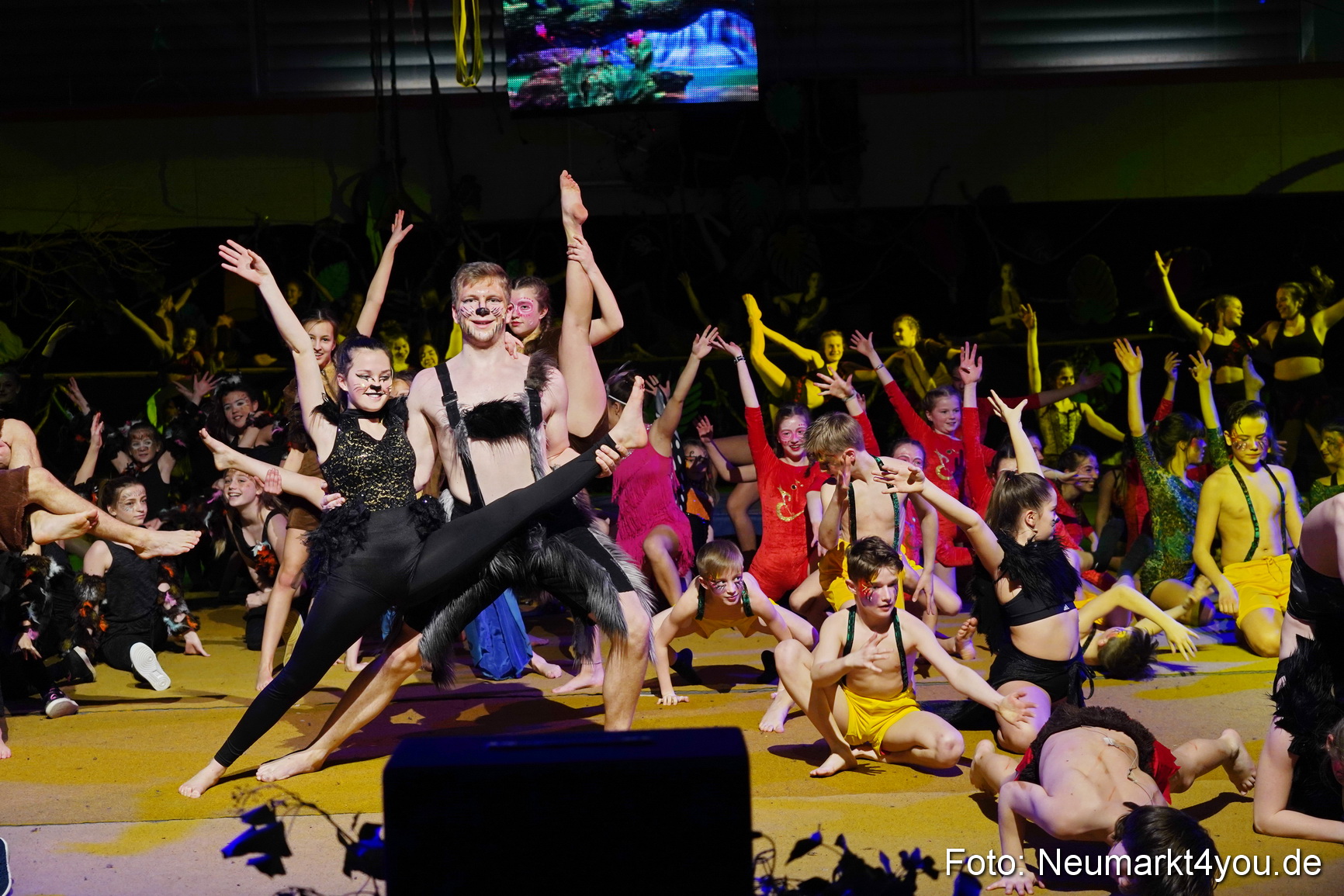 Artico Artistical Dschungelbuch 2020 0196